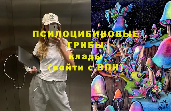 метадон Алексеевка