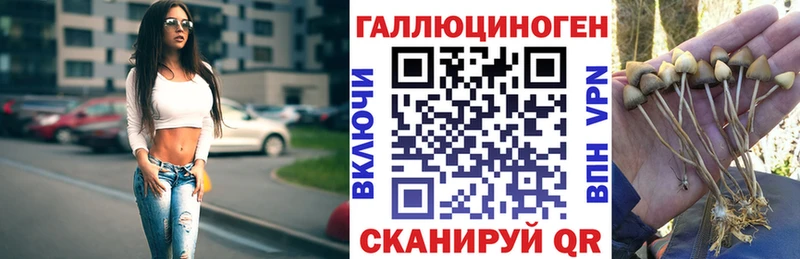 Галлюциногенные грибы MAGIC MUSHROOMS  Кемерово 